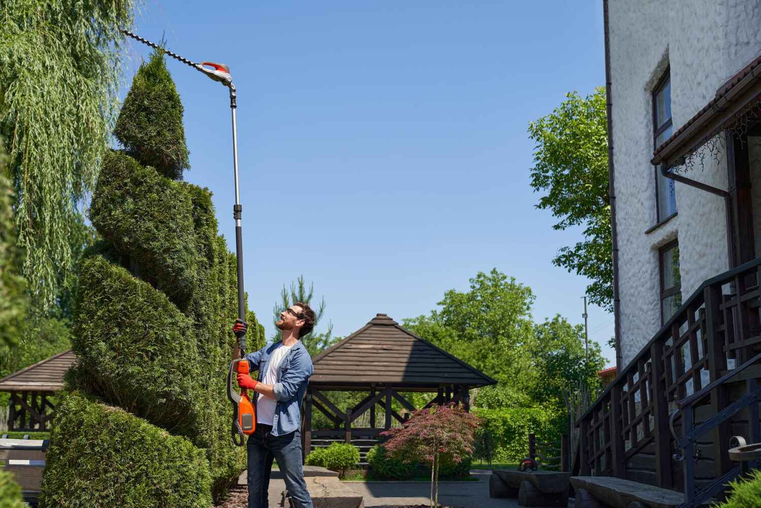 Tree Removal for Businesses in Louise, TX